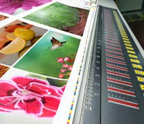 tipografia connect stampa plancia